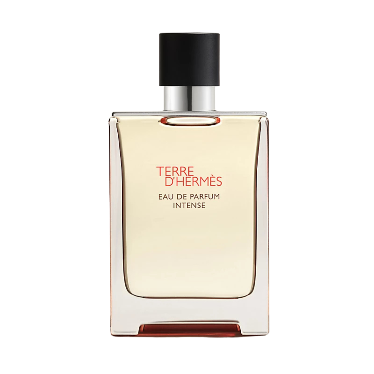 Hermes Terre D'Hermes Intense - Eau de Parfum for Men