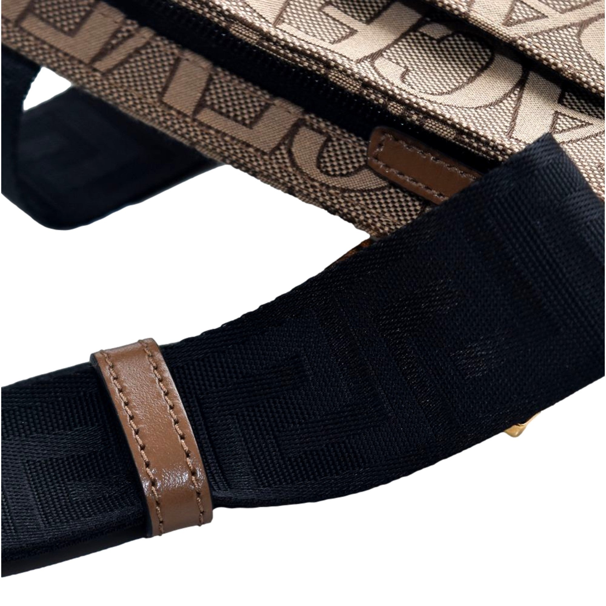 Versace Canvas La Medusa Logo Print Small Crossbody Bag